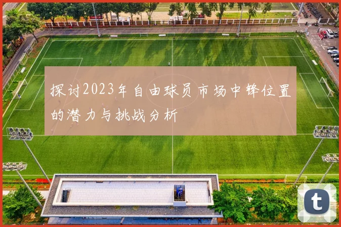 探讨2023年自由球员市场中锋位置的潜力与挑战分析
