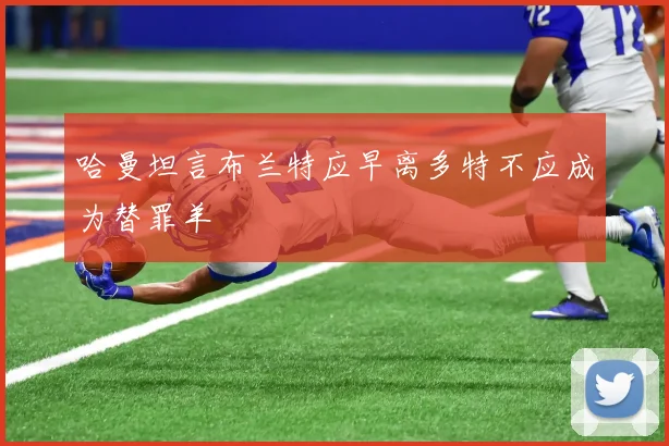 哈曼坦言布兰特应早离多特不应成为替罪羊